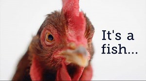 49K views · 59 reactions | This chicken is about to flip his lid. #AFishCalledChicken Get the story here: chickenofthesea.com/fishcalledchicken | Chicken of the Sea | Facebook