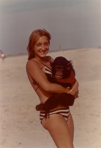 Project Nim (2011) | Creators | ČSFD.cz