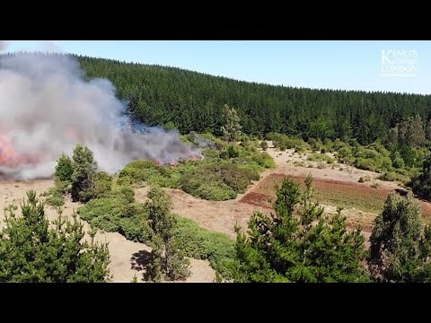 Understanding how wildfires start