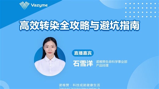 高效转染全攻略与避坑指南