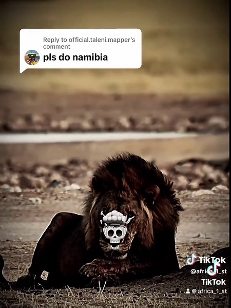 Discover What Namibia Is Known For Today