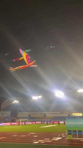China uses drones to create a phoenix in flight, sending the world its warmest Spring Festival greetings.#phoenix #UAV