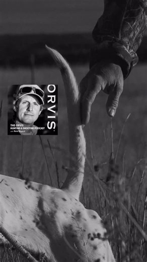 Reid Bryant on Instagram: "New podcast alert! This one with John McIltrot and Taylor Todd of @seranoakennels. Great chat about bird dogs, falconry, mentorship, and the way animals learn. Also, if you have last-minute gift needs, check out The Orvis Guide to Upland Hunting, Training Bird Dogs with Ronnie Smith Kennels, and/or Mouthful of Feathers- Upland in America! Any and all will be a great addition to the bird hunter’s library. 📸 @chloenostrant #orvis #orvisdogs #orvispodcast #uplandhunting 