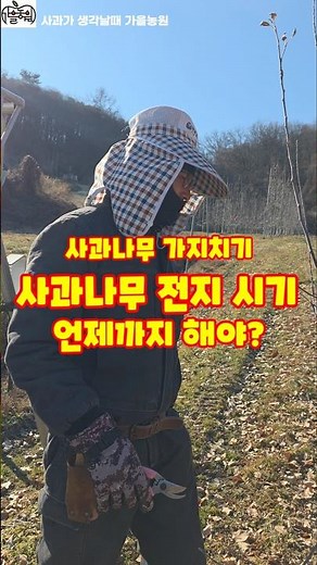 When Should You Finish Apple Tree Pruning? Autumn Farm #shorts