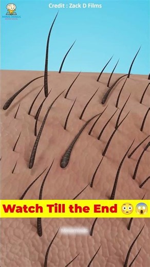 Why Can Head Hair Grow So Long, But Arm Hair Can't