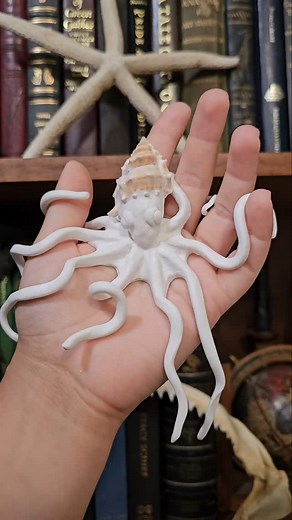 Thank you for all your suggestions on my shell creatures video! Here's a little octopus 🐙🐚 | Thread Handed Jill