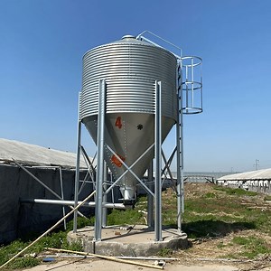 [Hot Item] Poultry Farm Automatic Chicken Feed Silo with Auger System