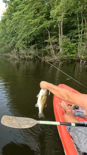 GoPro Quik Flashback Video