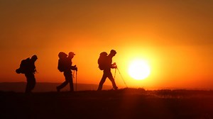 A little something to look forward to whether you're joining us in 2019 or 2020. We can't wait to see you! (P.S. If you haven't registered for the 2020 Lottery, you should. http://bit.ly/register2020) | Philmont Scout Ranch