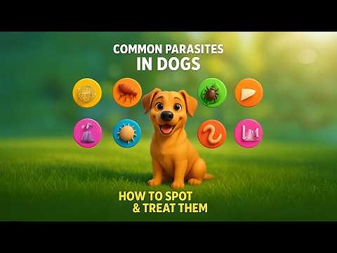 How To Spot Dangerous Parasites On Your Dog!