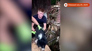 129K views · 4.9K reactions | Firefighters in Romania's Suceava County rescued a dog trapped in rubble and debris after flash floods caused significant damage in the eastern part of the country | Reuters | Facebook