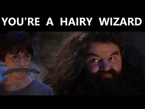 You're a hairy wizard - Harry Potter