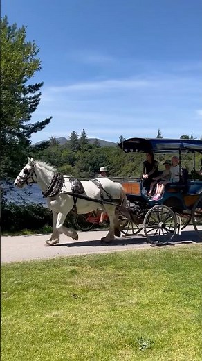 Clip-Clop Through The Magic of Killarney – A timeless Irish Bliss! 🐎 #horse #ride #ireland