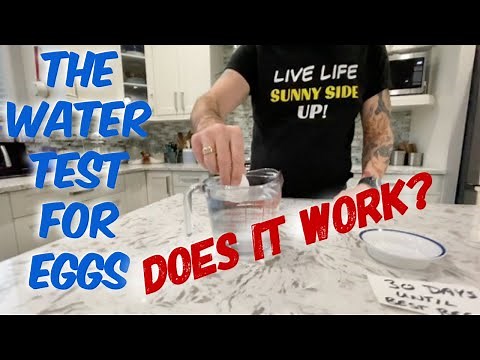 Water Test for Eggs - Does it work?
