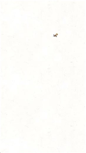 Tails sprite animation