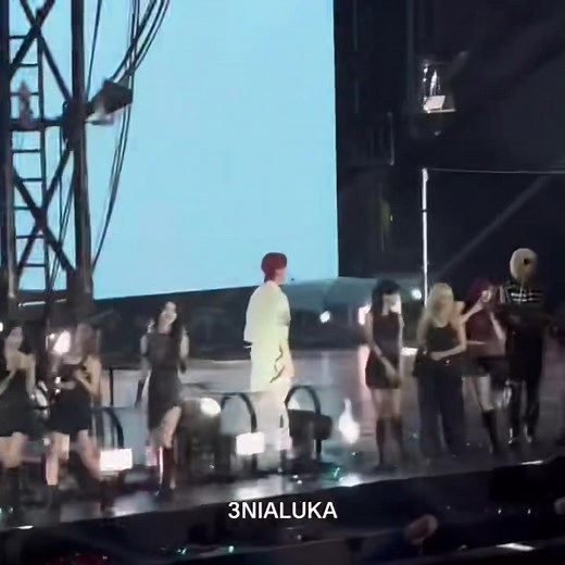 Lost Cat Ricky Embarks on Another Adventure! Check Out the Funny Video