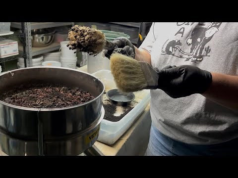 Best Practices for Worm Wrangling - Tools and Methods