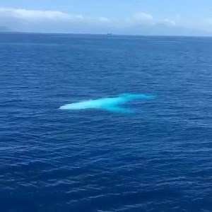 27K views · 1.4K reactions | Magic Nature on Reels | Facebook