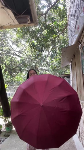 Best Umbrellas for Rain and Sun Protection