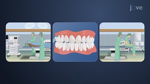 Vídeo: Anestesia Geral: Visão Geral