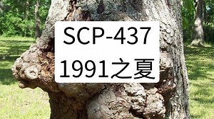 SCP-437 - 1991之夏