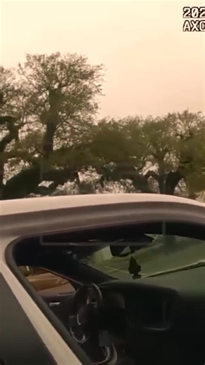 Contempt Of Cop Lawsuit Update! | LackLuster