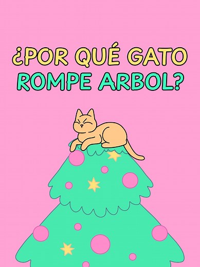 Cosa de gatos on TikTok