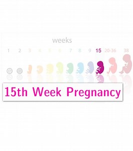 15 Weeks Pregnant: Baby Growth, Symptoms & 16 Expert Tips