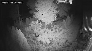 Kharkiv park hit by missile