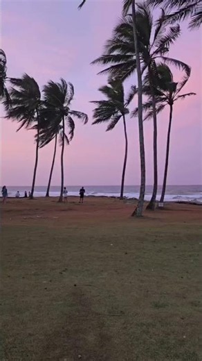#Sunset at #Coconuts