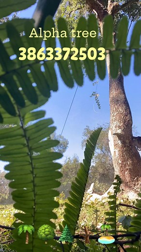 License and insuranced and experience , #FPL #trees# Fl treedoc 10years strong | Jake Kuchler