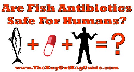 Fish Antibiotics For Humans: A Safe Option For Your Survival Kit?
