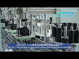 20240730 F63 series control valve automatic assembly line put into use