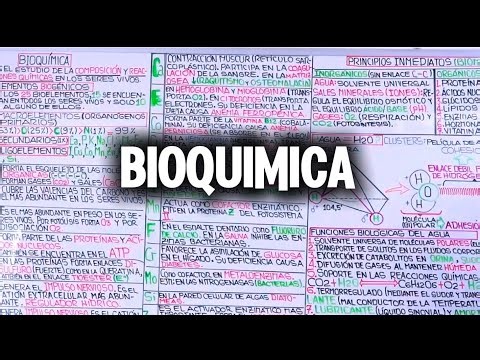 Bioelementos | Bioquímica Básica (Nuevo Profe)