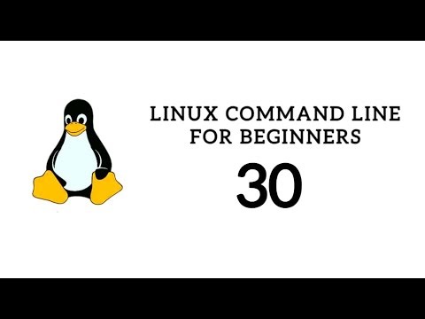 Linux Command Line For Beginner 30 - useradd command