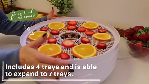 Amazon.com: NESCO FD-37 Food Dehydrator, For Snacks, Fruit, Beef Jerky,White/Clear, 4 Trays: Home & Kitchen