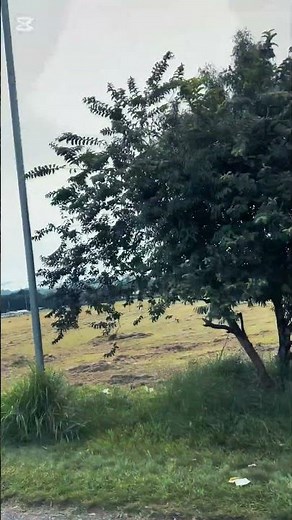 University of Technology Papua New Guinea - Campus