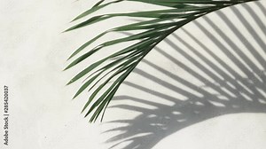 abstract background texture of shadows palm leaves on a concrete
