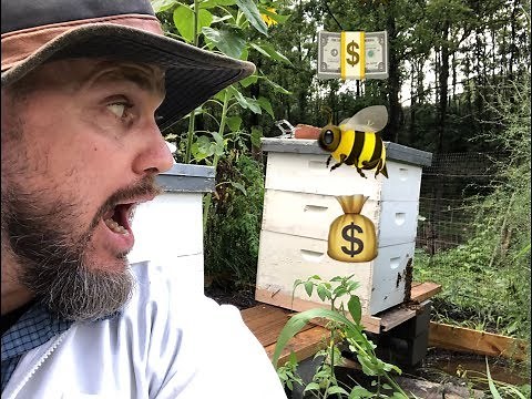 How much does it cost to start BEEKEEPING?