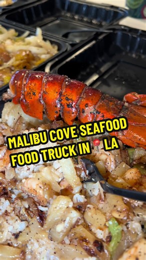 It’s downtown LA and nothing can beat food truck for lunch time. Fun food truck time! 🛻🦞 #malibucoveseafood #foodtrucks #foodtruck #foodtruckfood #seafood