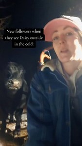 I believe that sarcasm is a lost form of art. I really do love that you guys all care about Daisy so much!!! Someday when I win the lottery (I wont tell you) but I will probably have a wrap around heated porch..there will be signs 😉😆 #pet #cow #angus #farmlife | Dakotafunnyfarm