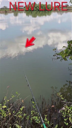 hành trình test con mồi NEW LURE sắp hoàn thiện