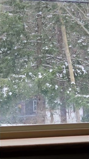 Beautiful snow falling in New Hampshire