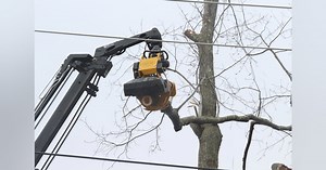 PSEG Long Island Uses Robotic Truck to Remove Danger Tree