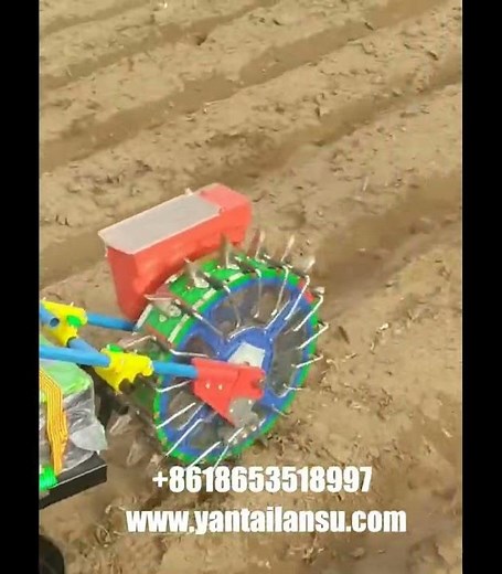 Agricultural no till manual maize seed seeder machine corn planter for vegetable garden onion garlic