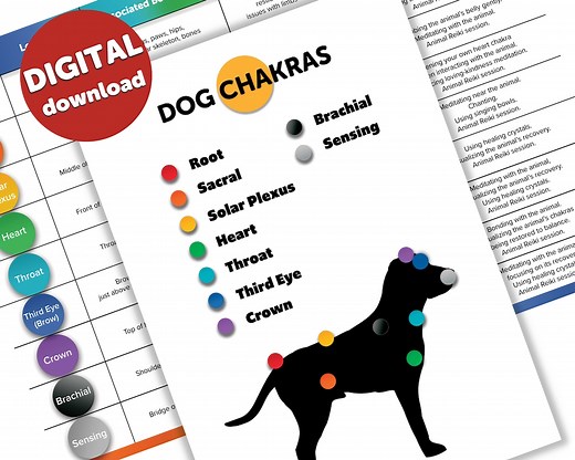 Dog Chakra Printable | Dog Chakra Points | Animal Chakra | Dog Chakra Healing Chart | Digital Download | Pet Chakras Points | Printable - Etsy