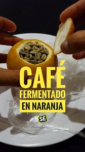 74K reactions · 24 shares | Café fermentado dentro de una naranja! Me encantó! #coffeetime #coffee #coffeelover #cafe #café #homecoffeeroasting | Kafemania | Facebook
