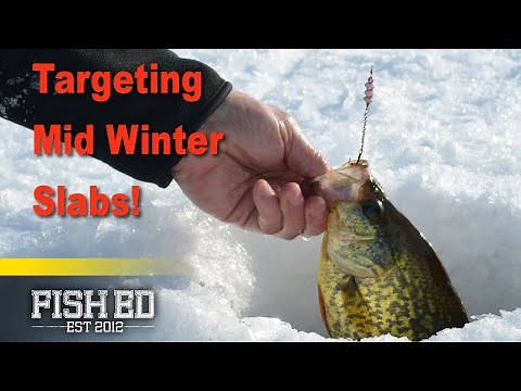 Crappie Location & Lure Secrets for Mid Winter Ice Fishing – Fish Ed