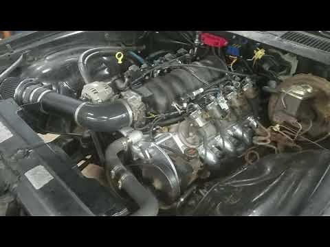 5.3 Texas Speed B.F.D. cam