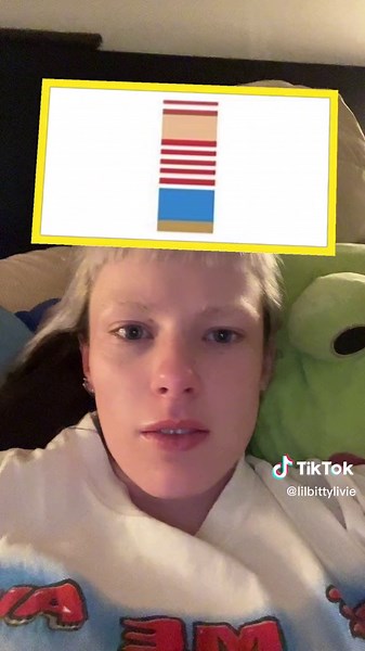 the voice changer is the best thing to happen to this app